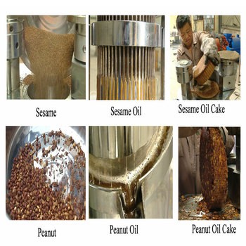 presse à huile à vis efficace pour le traitement des graines de colza