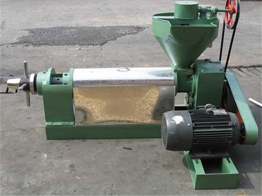 machine d'extraction automatique par presse à huile