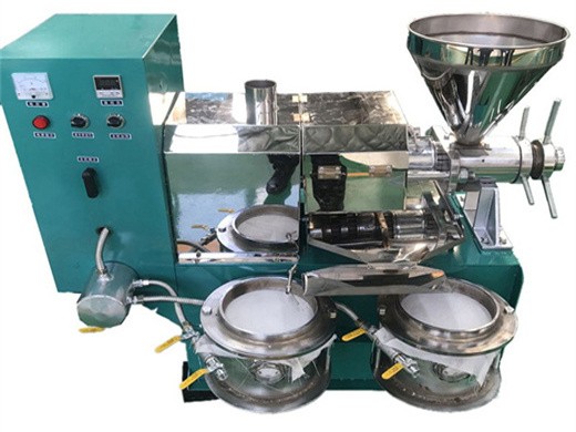 machine de fabrication d'huile d'olive en acier inoxydable la plus vendue
