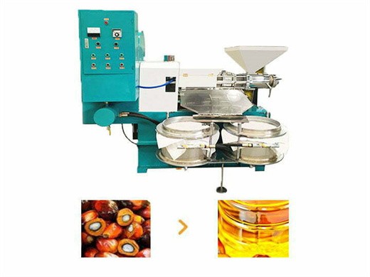 machine d'extraction automatique par presse à huile