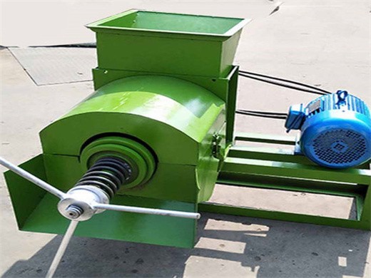 machine de pressage d'huile de palme de petite capacité en chine