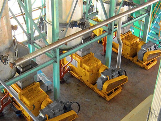 processus de raffinerie d'huile de palme machine à huile physique et chimique