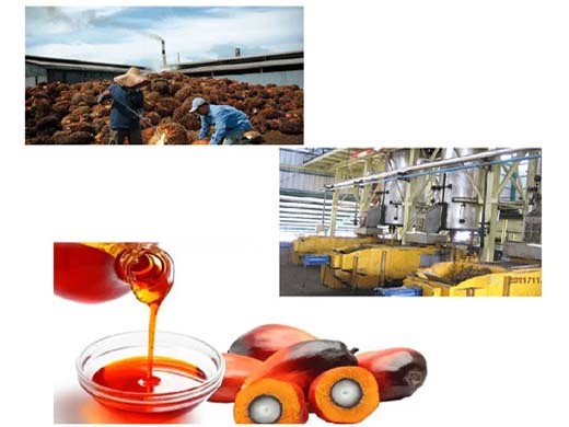 processus d'une raffinerie de huile