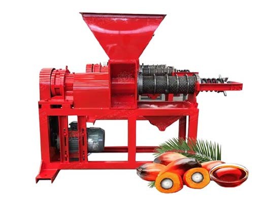 machine d'extraction d'huile de palme à petite échelle à vendre