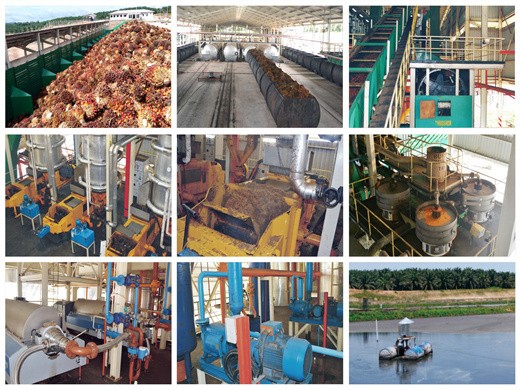 raffinerie d'huile de tournesol en chine, raffinerie d'huile de tournesol