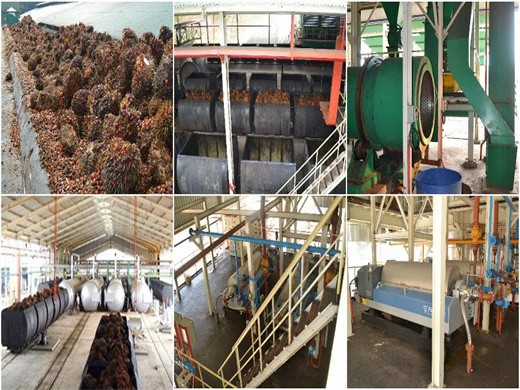 usine de moulin à huile de palme à vendre machine à huile de palme