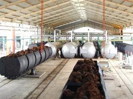 fabricant de machines de raffinage d'huile de palme brute‏