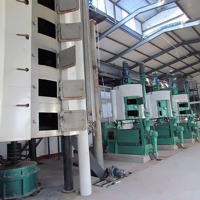 machine à huile de palme en chine, fabricants de machines à huile de palme