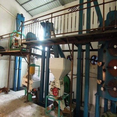 machine de presse à huile d'arachide Équipement de traitement d'arachide
