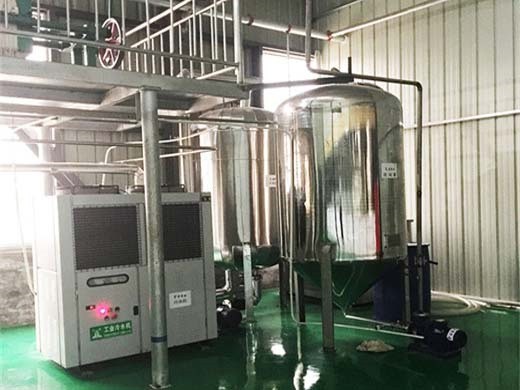 machine d'extraction d'huile de tournesol pour expulseurs d'huile